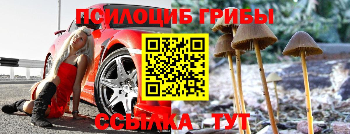 Галлюциногенные грибы MAGIC MUSHROOMS Москва