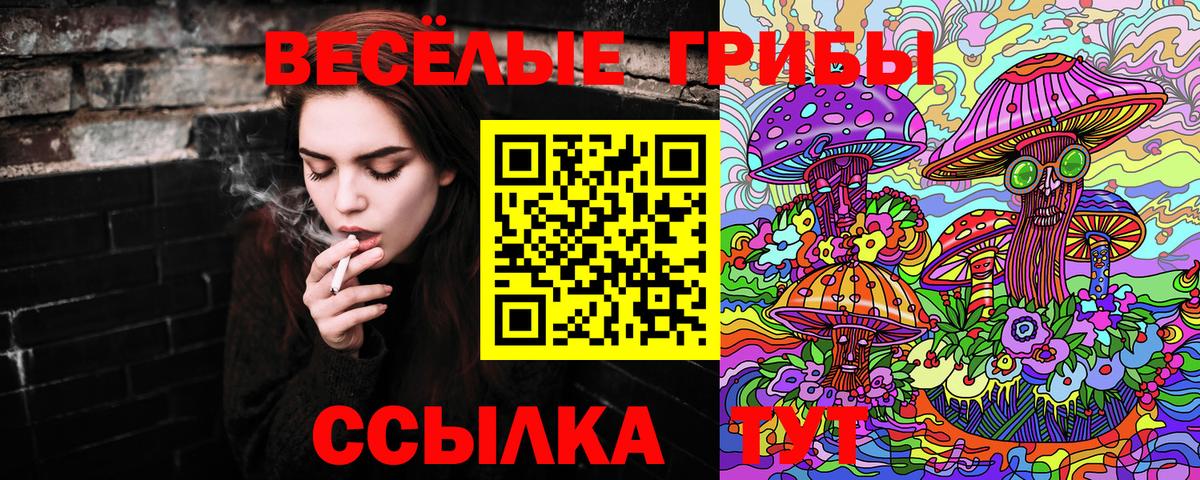 Псилоцибиновые грибы мицелий  Вход с VPN  Москва 
